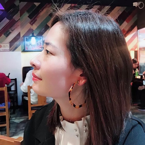 ❄️🆕 Stunning Animal Print Earrings Leopard - Picture 2 of 2